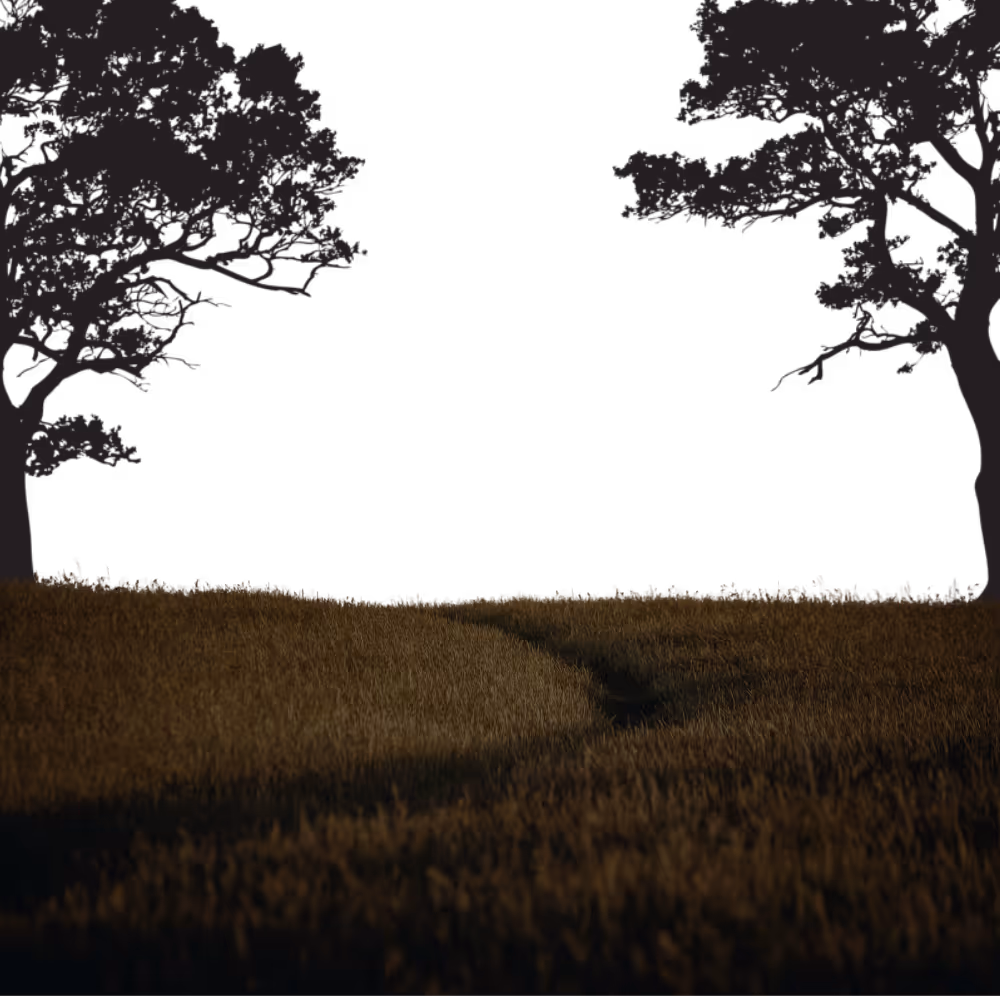 Pathway through a field of tall brown grass with two silhouetted trees on either side against a black background.
