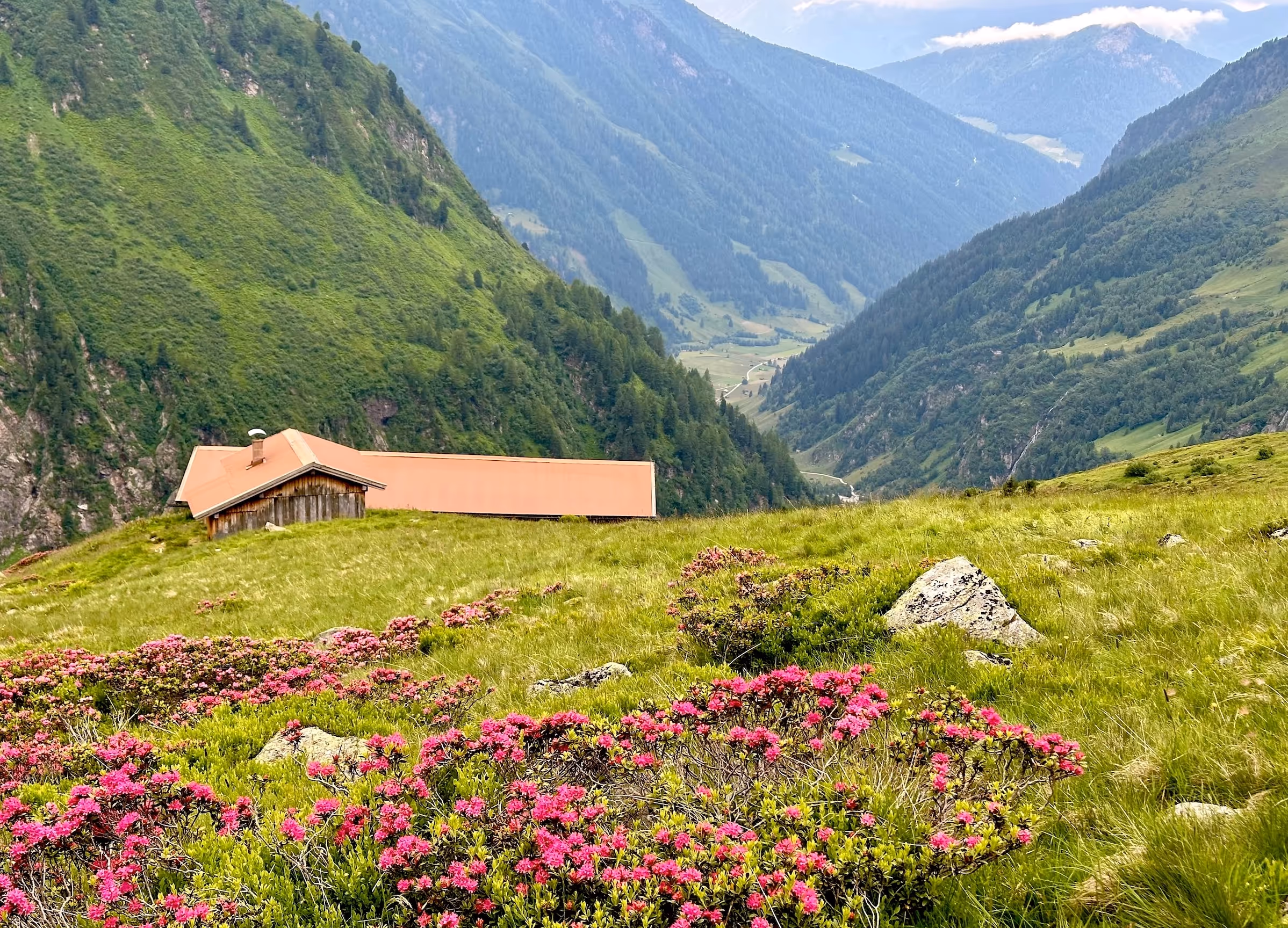 Farmlands near Bangalore Airport