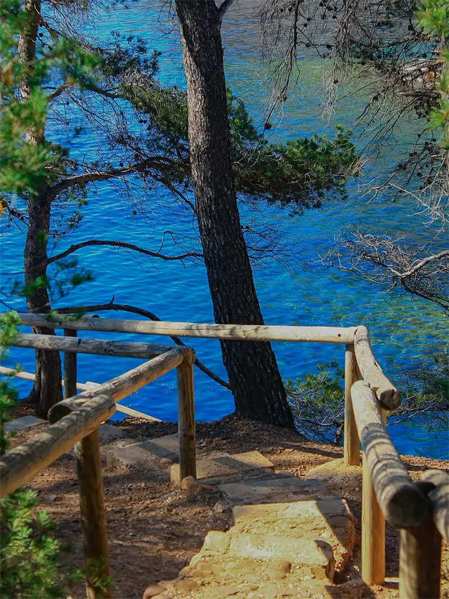 Expériences exclusives à La Ciotat et en Provence - Villa L'Île Verte