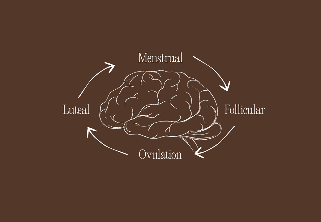 Your Hormones, Your Hidden Superpower: How Female Biology Shapes Cognition and Performance