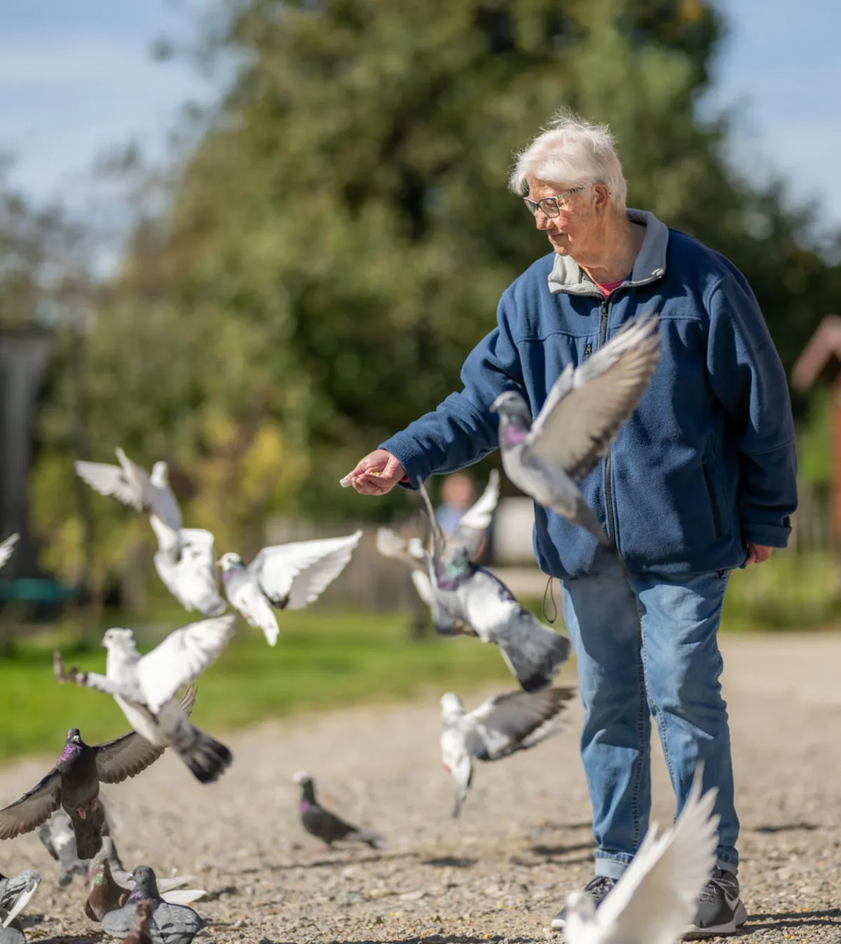 Ältere Frau die Tauben füttert