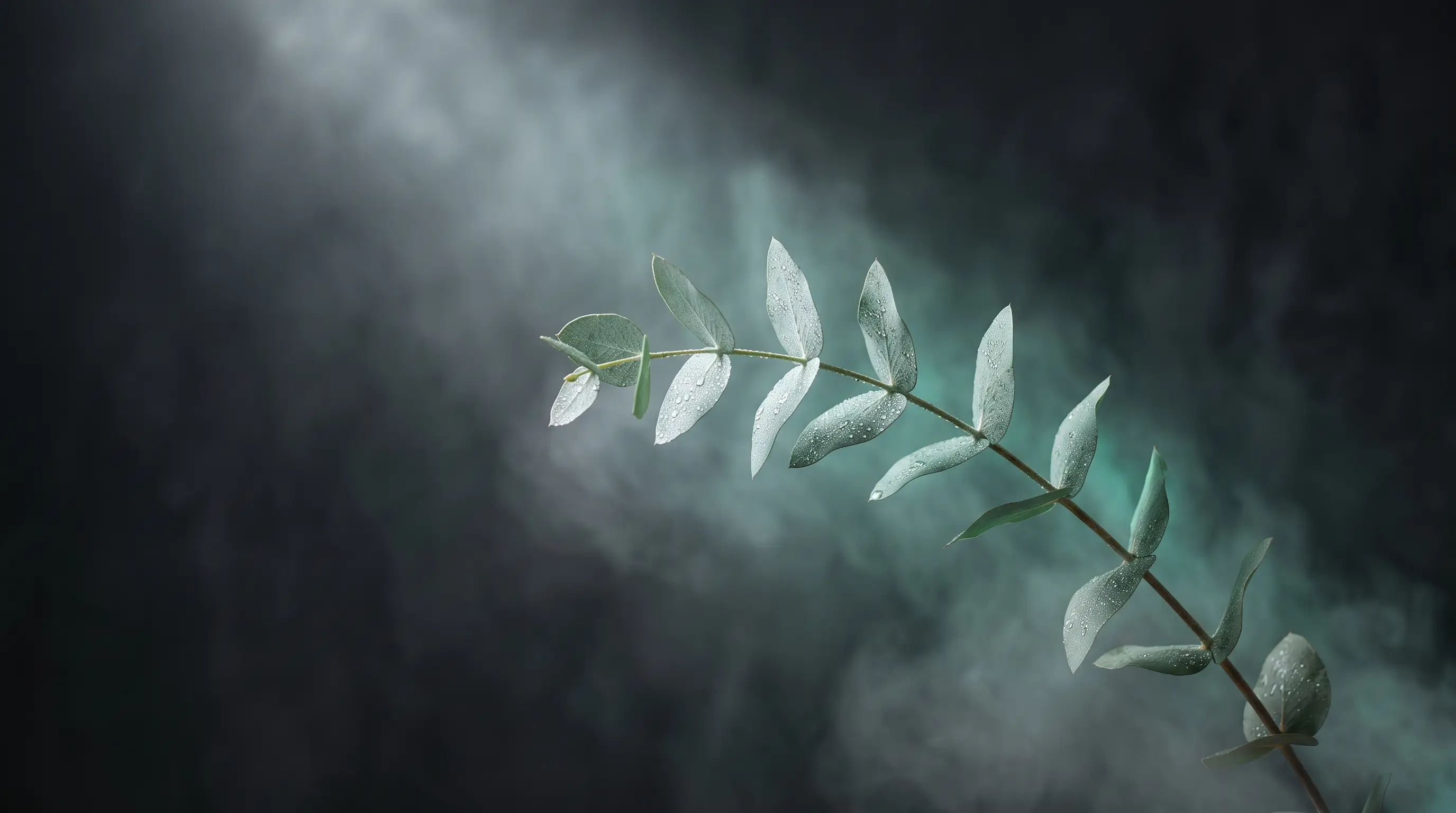 Aroma in der HALOCAB: Der Eukalyptus-Duft der Session