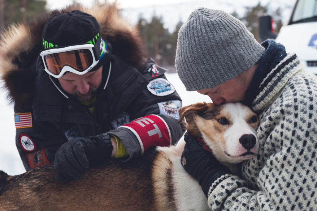 Tove's son, Torkil Hansen, comforts his sled dog during the gruelling Finnmarksslopet, the world's northernmost sled dog race.