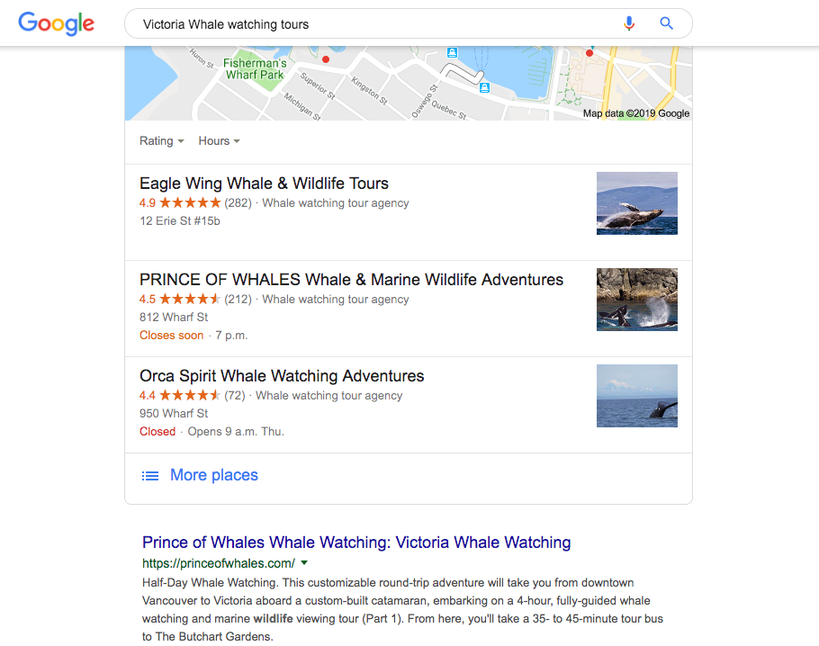A screenshot of how tour operators benefitting from SEO