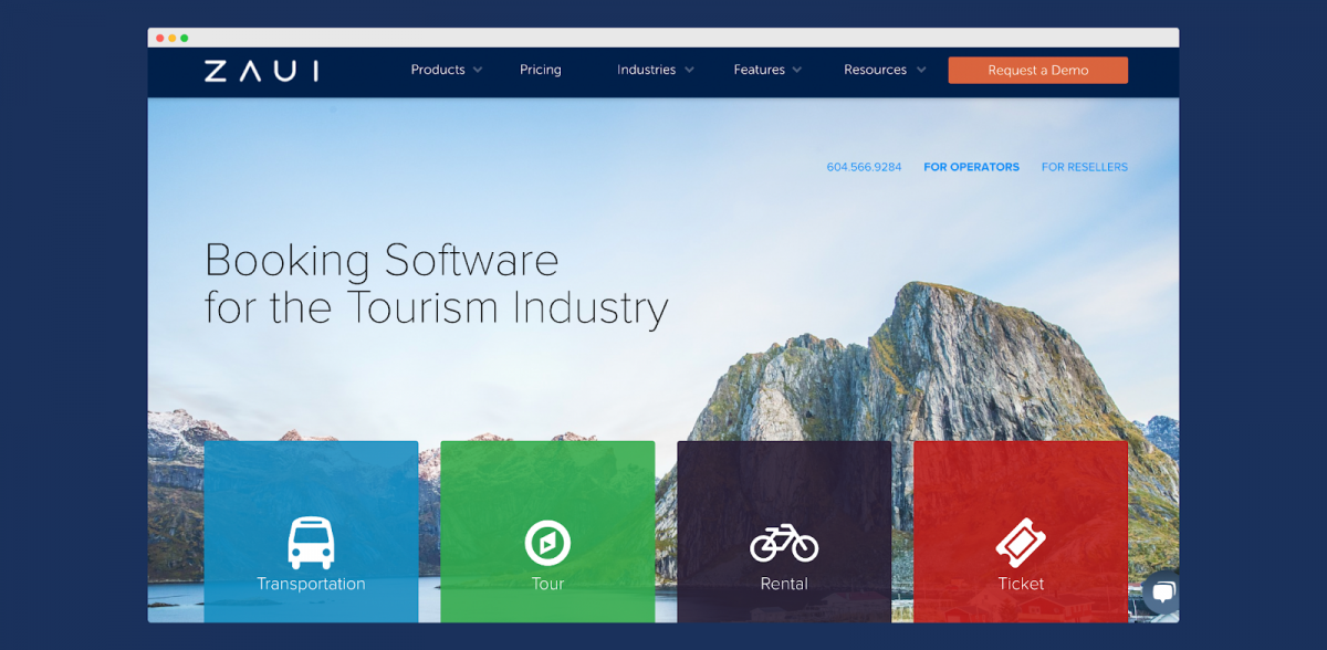Screenshot of Zaui's old website 