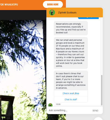 AI chatbot used by tour operators