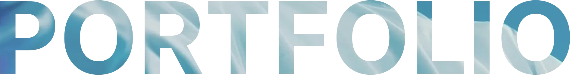 Portfolio Hero Image