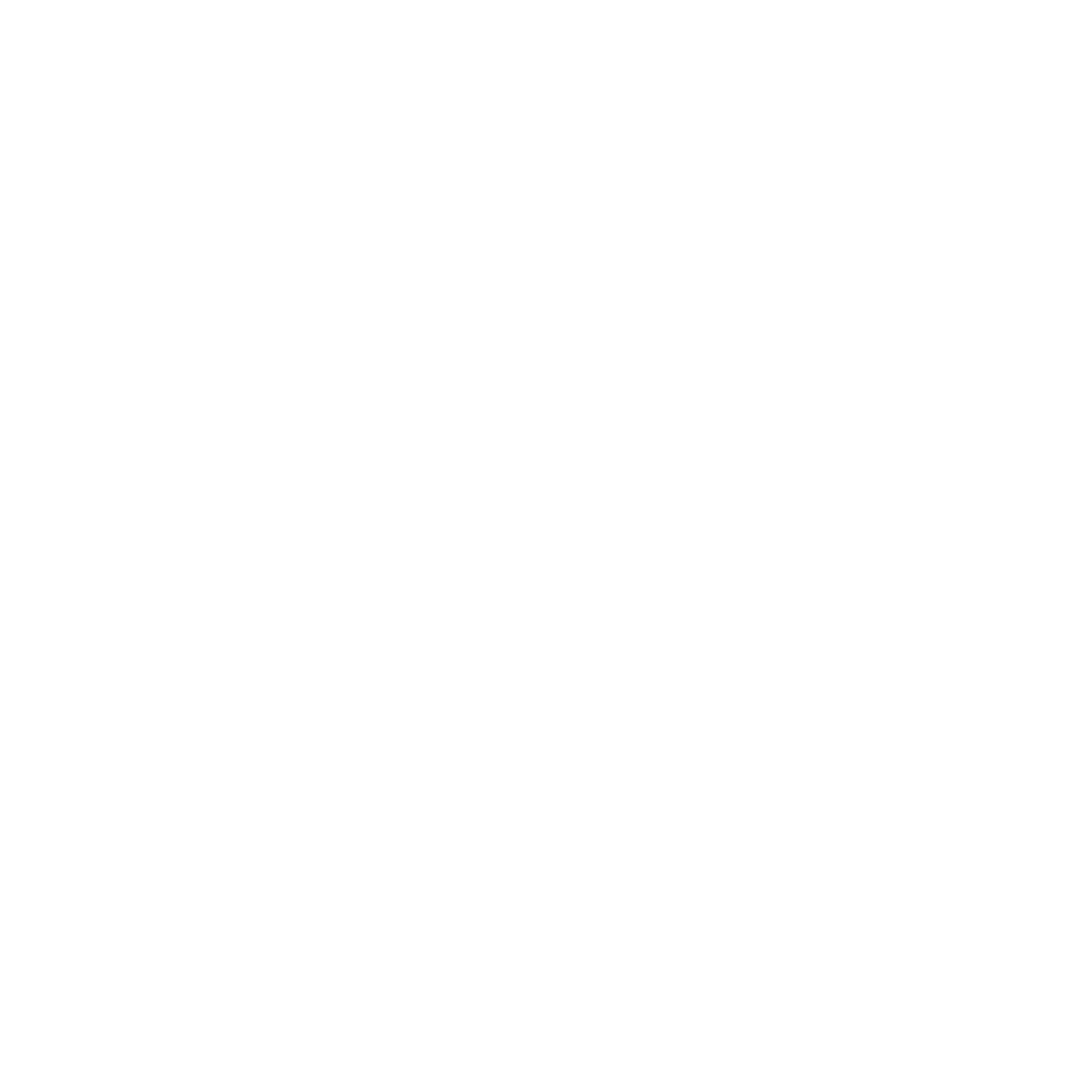 Generalbau  Icon weiß