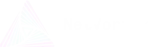 NetVortex logo