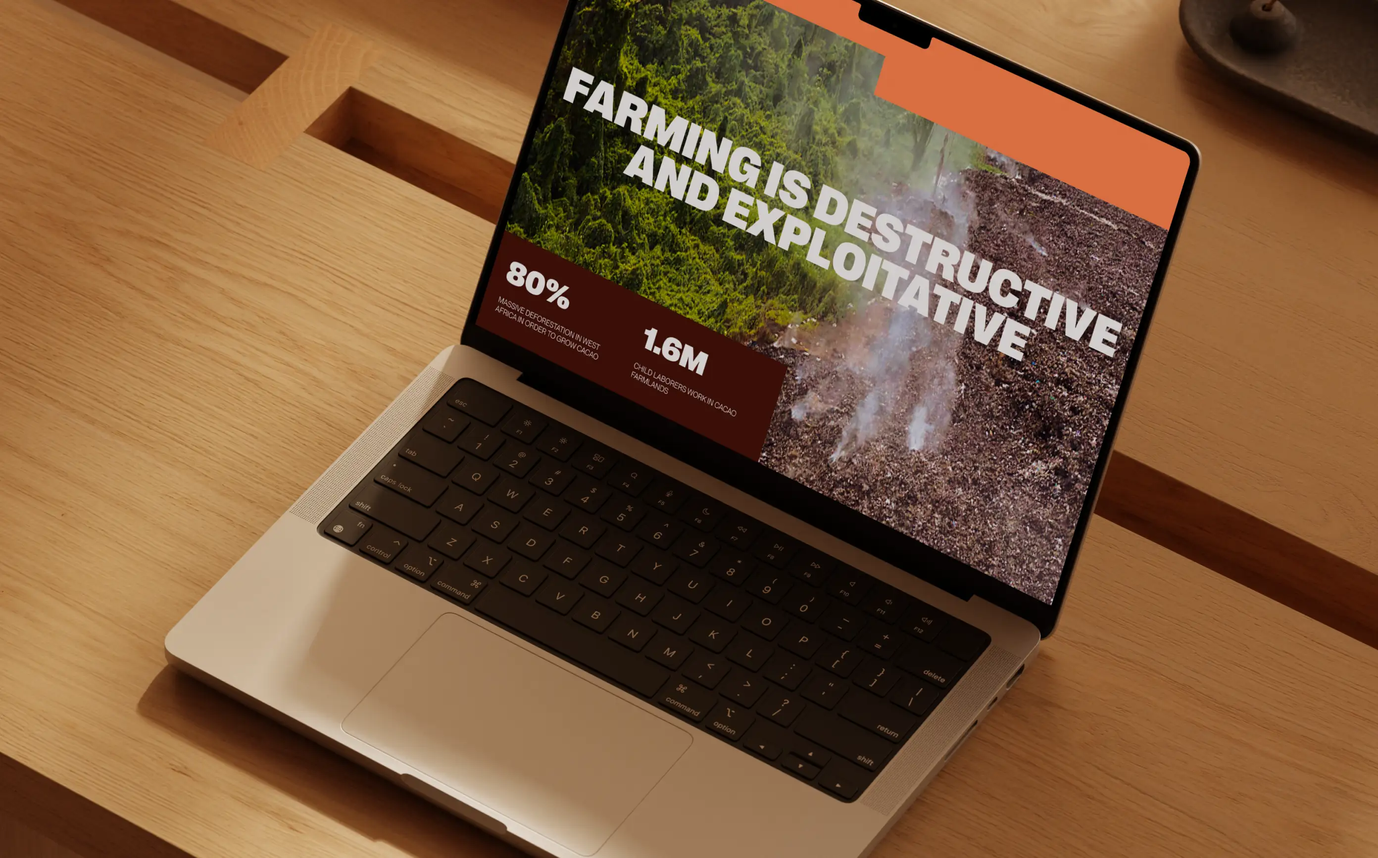 Kokomodo FoodTech website mockup — problem & impact section