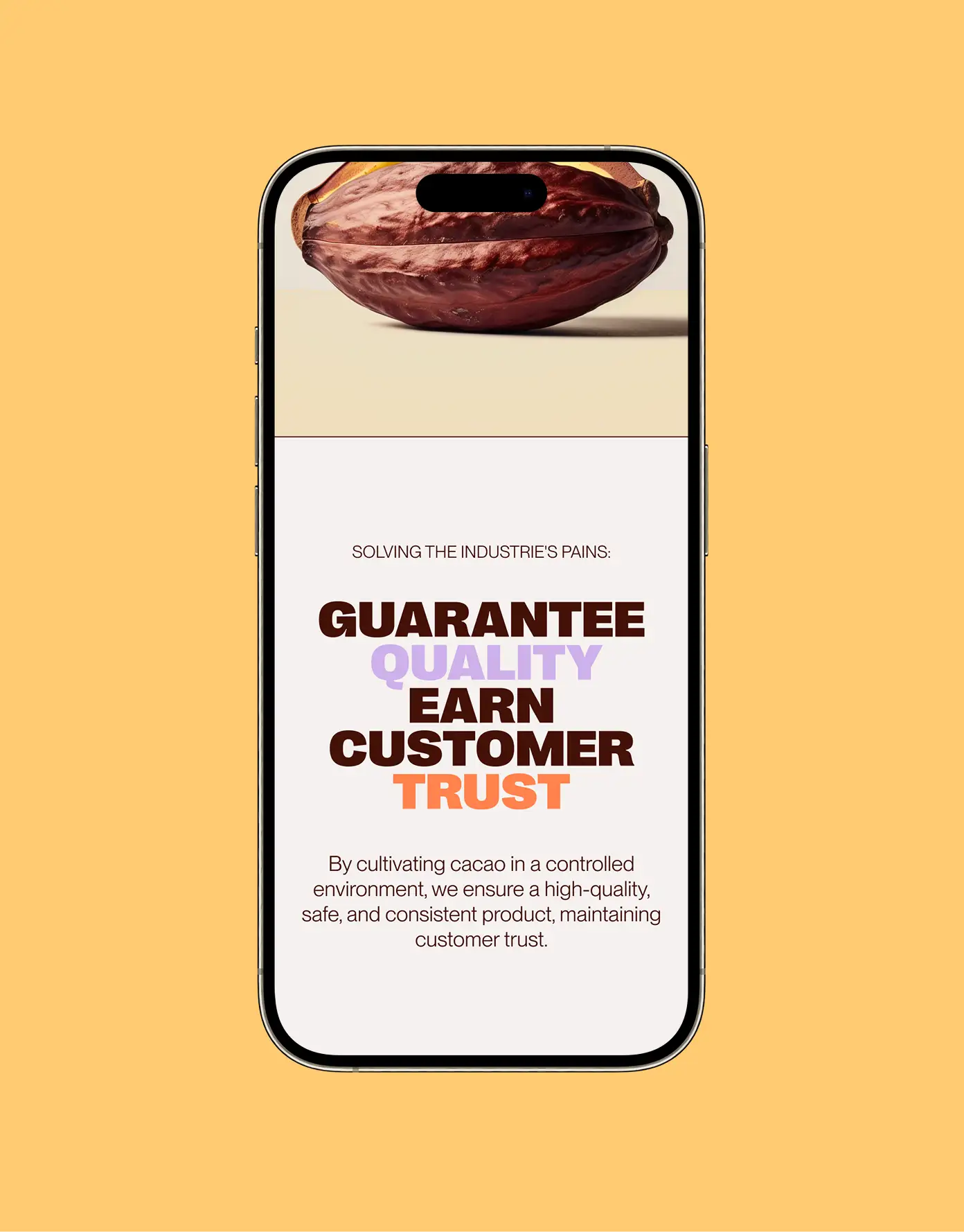 Kokomodo mobile site — value message “earn customer trust”