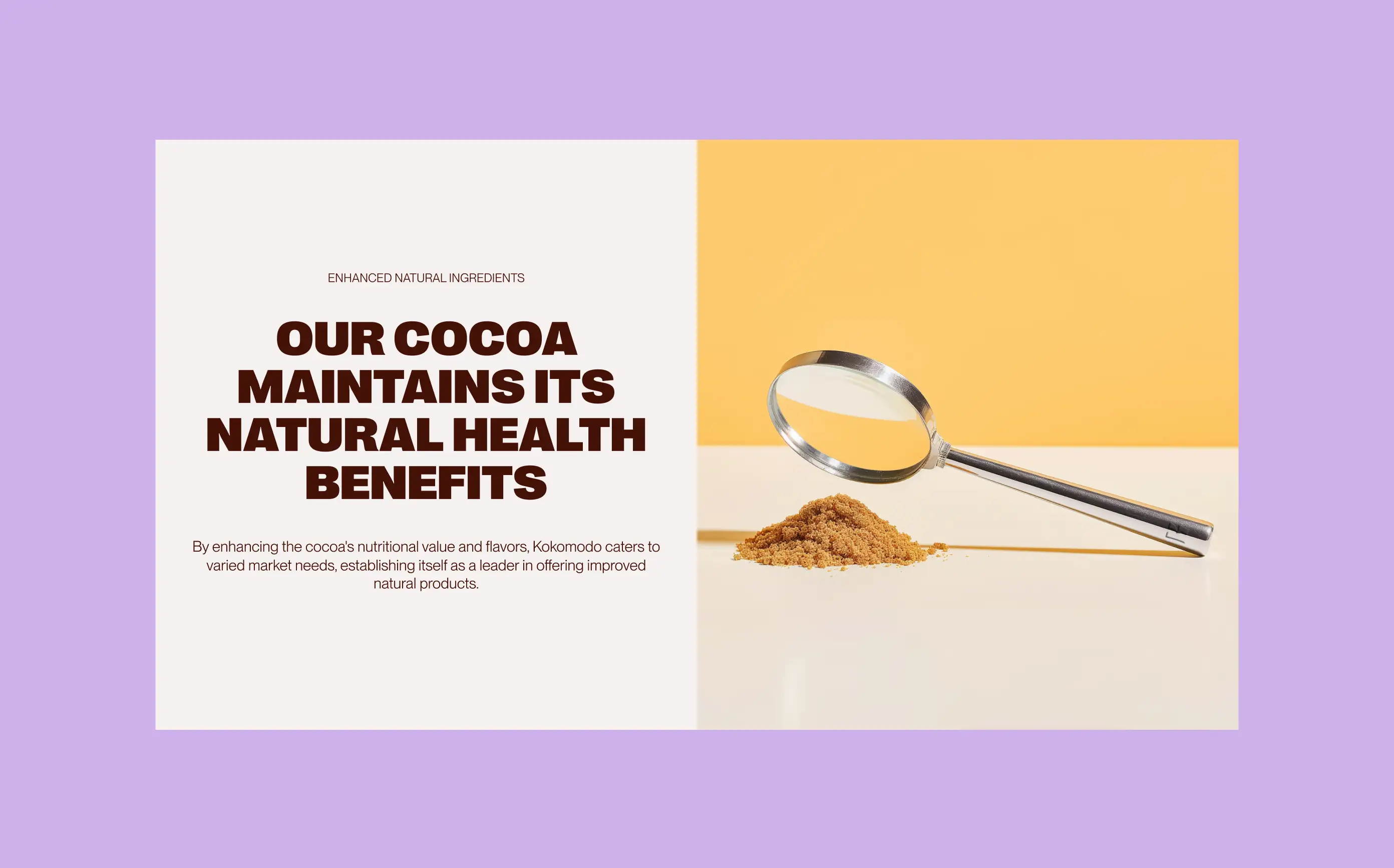 Kokomodo website — health benefits panel with cocoa sample