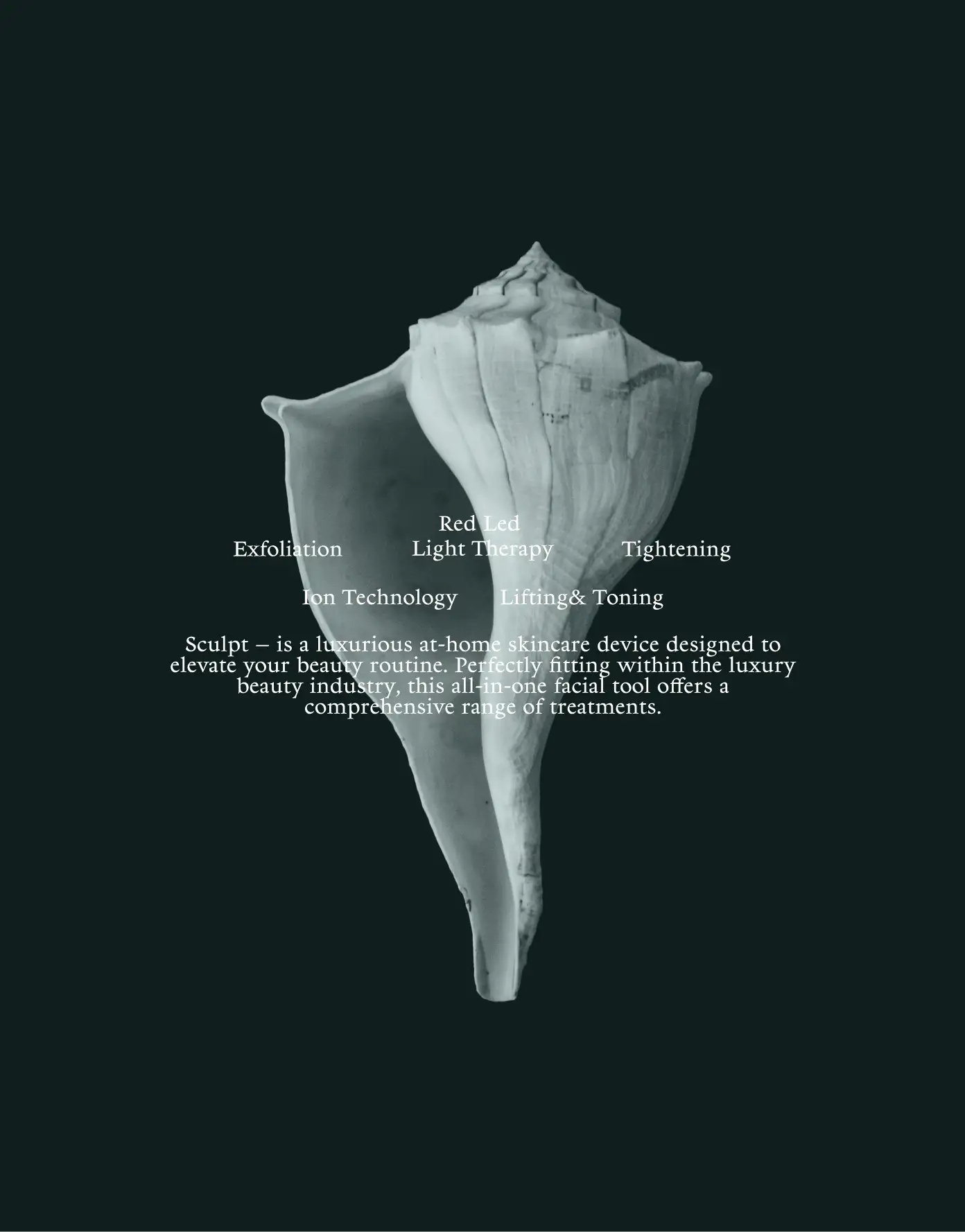 Aeterna brand motif — lily anatomy artwork on black