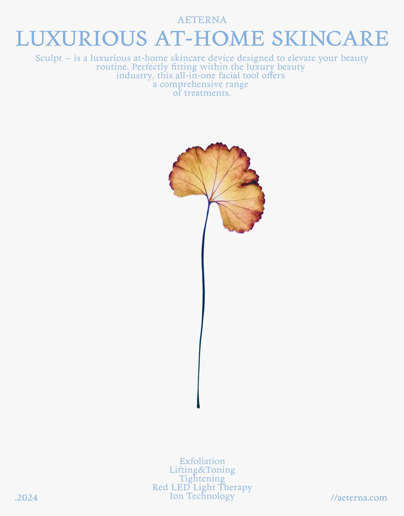 Launch poster — single dried flower and refined typography