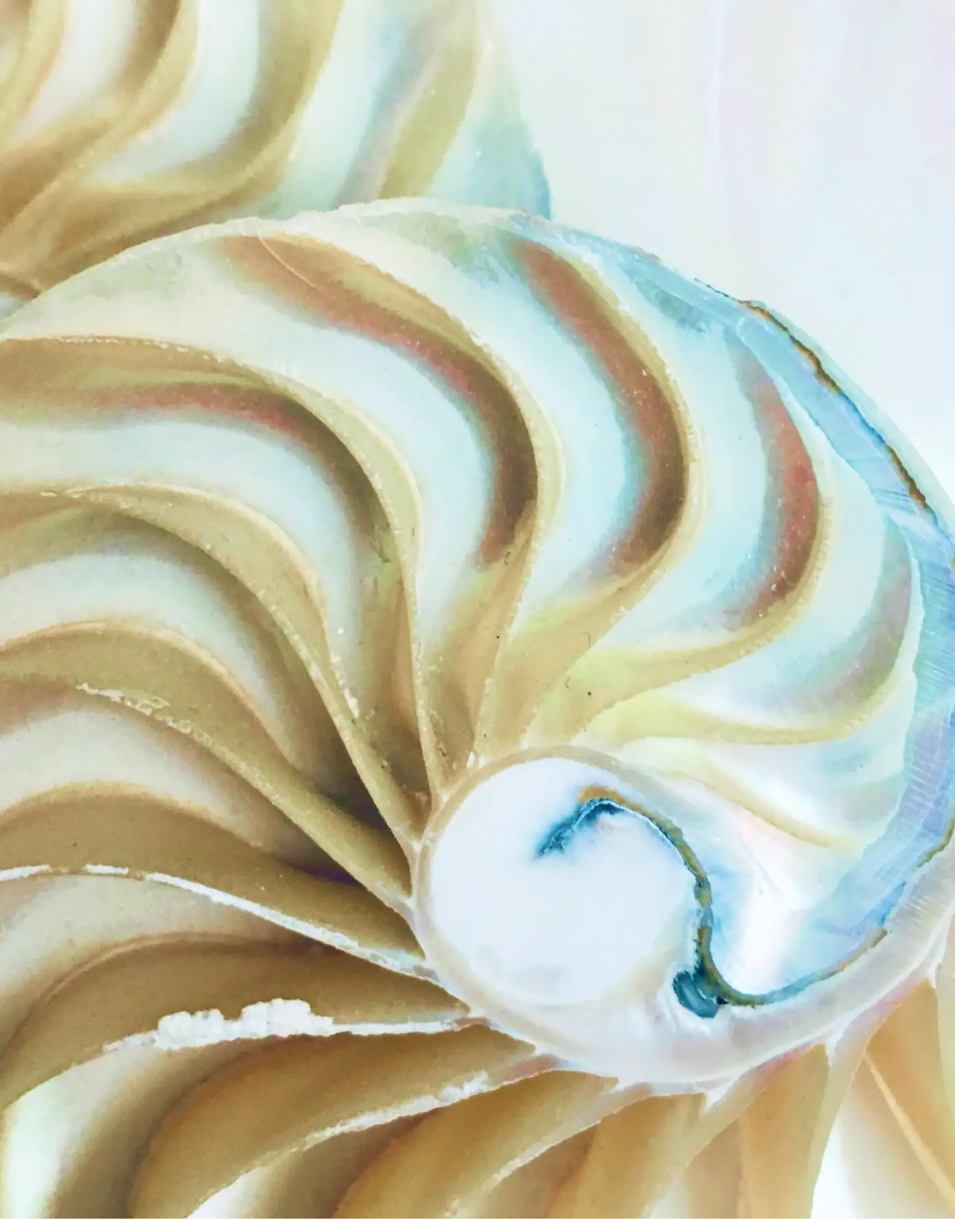 Cream texture macro — luxury skincare swirl