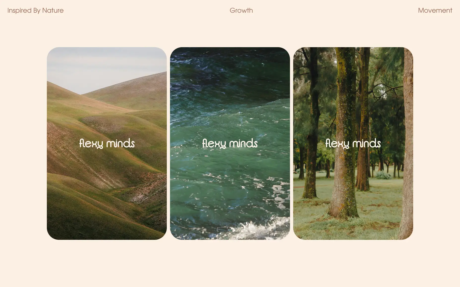 Flexy Minds brand pattern with logo