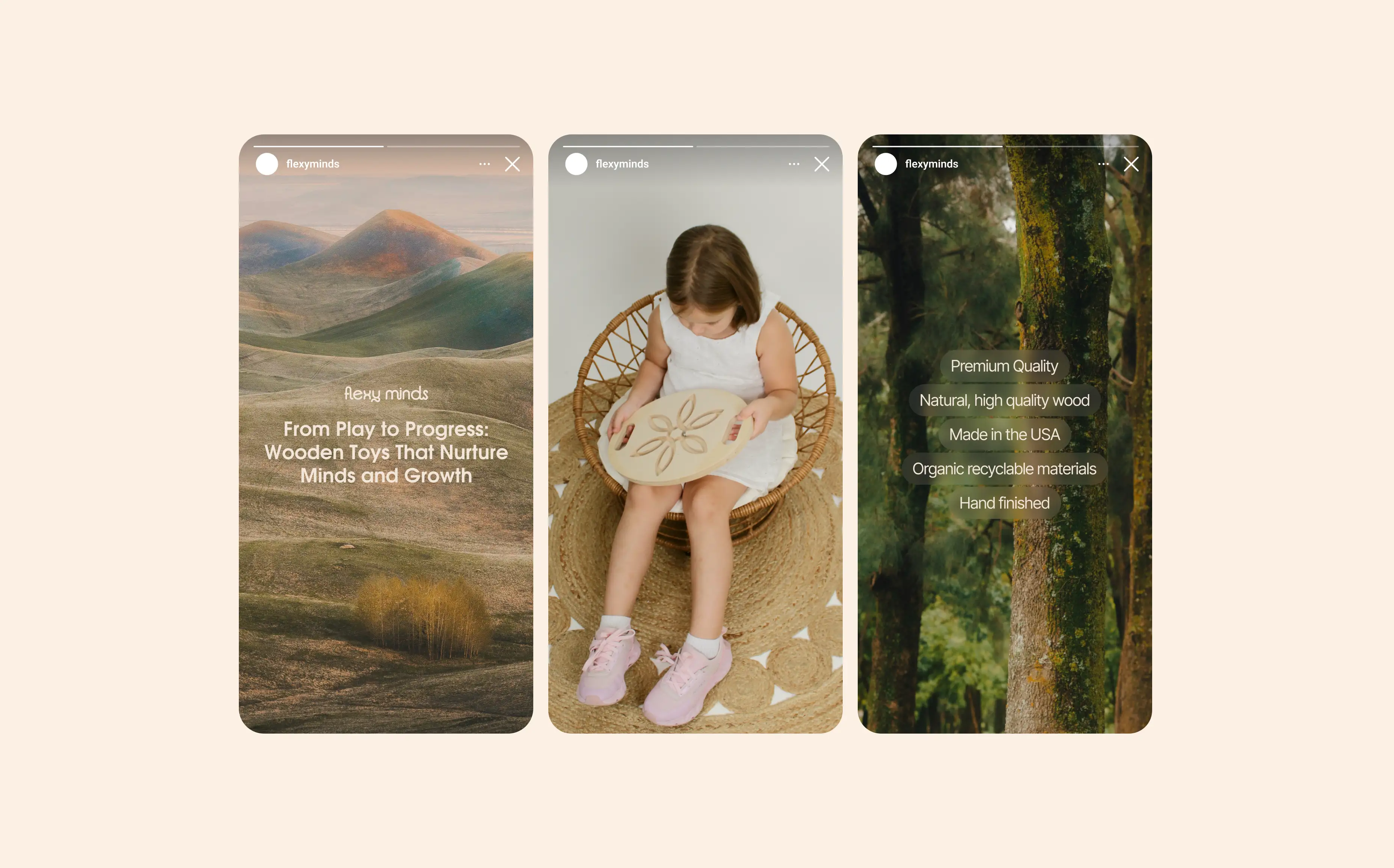 Flexy Minds social media story designs