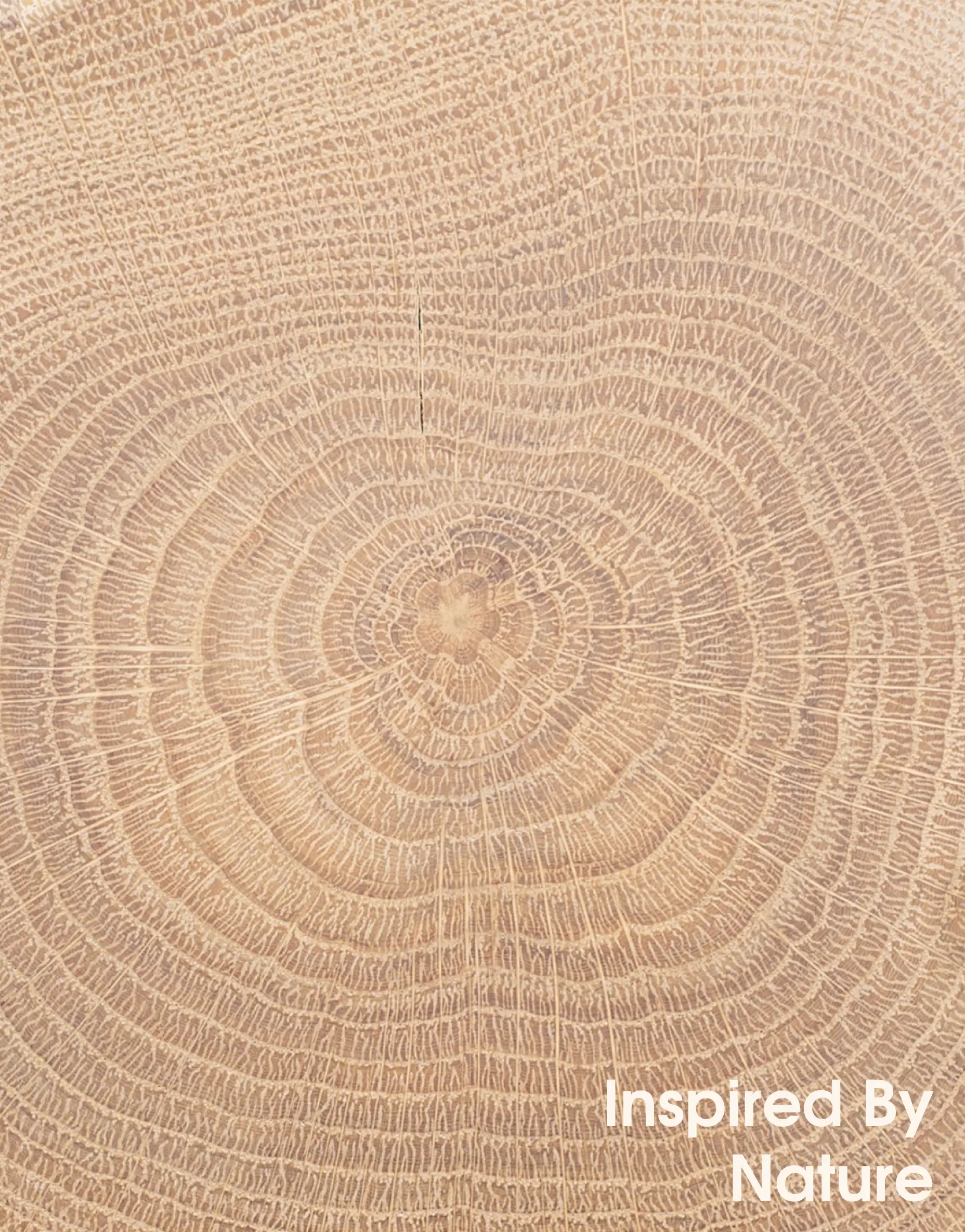 Natural wood texture inspired by nature