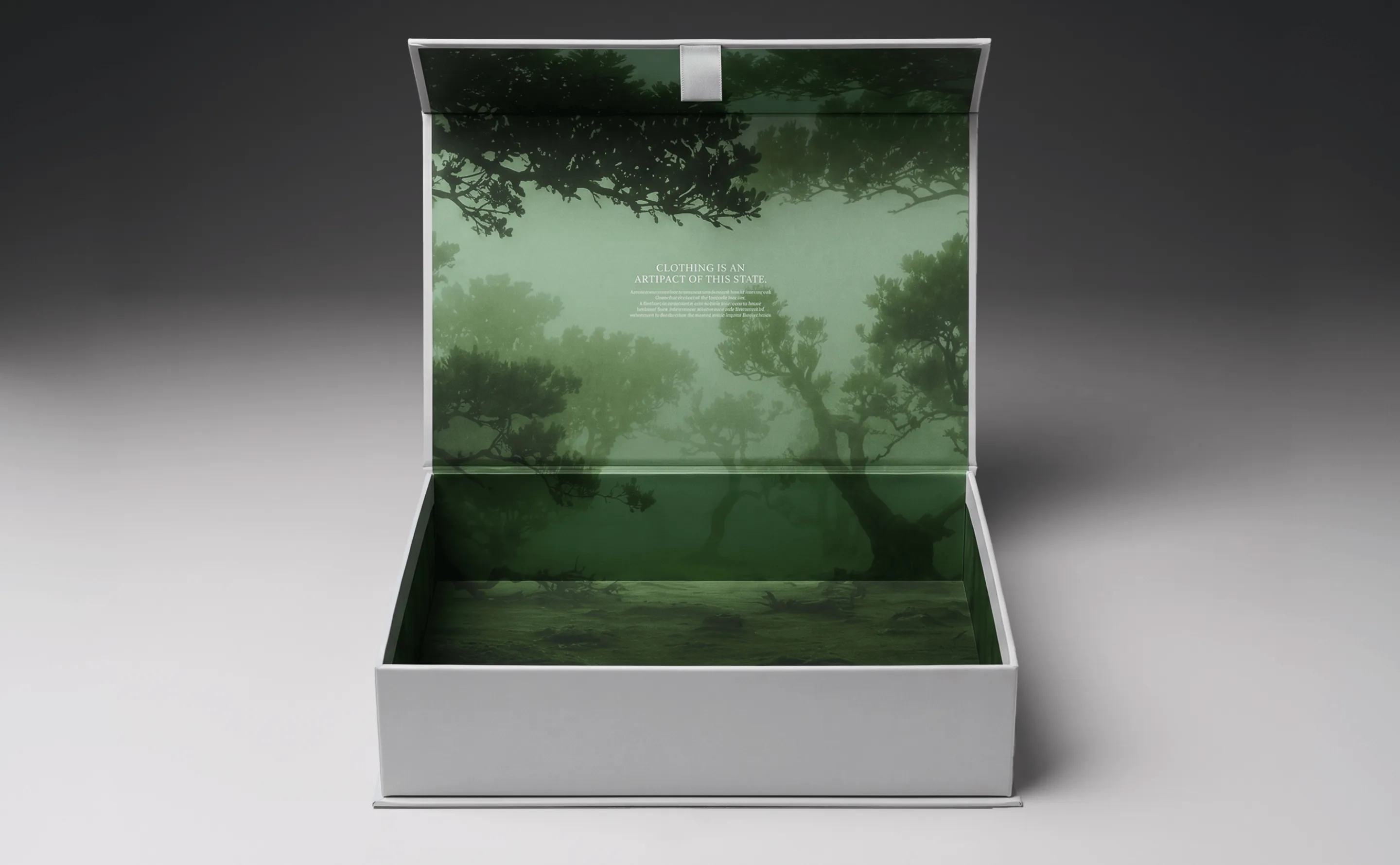 Open garment box