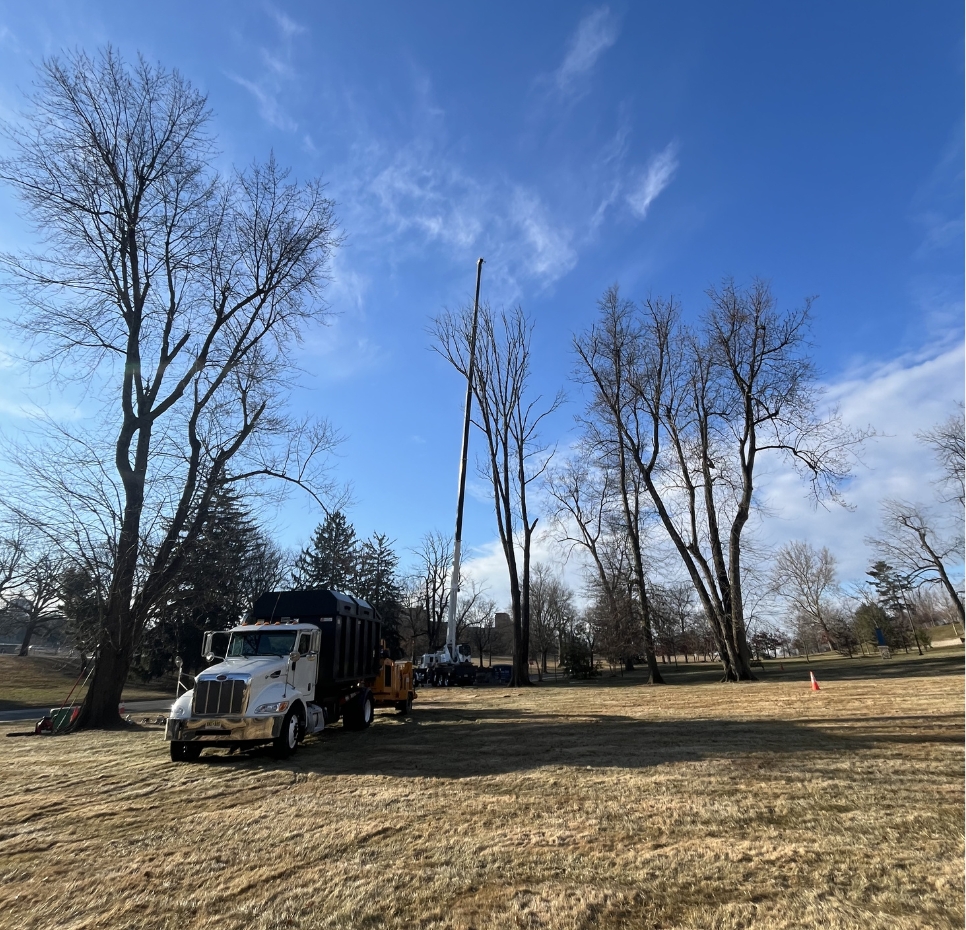 Pine Valley Tree Service wood chipper truck and crane removing a hazardous tree using low-impact tree removal techniques to protect the surrounding property.