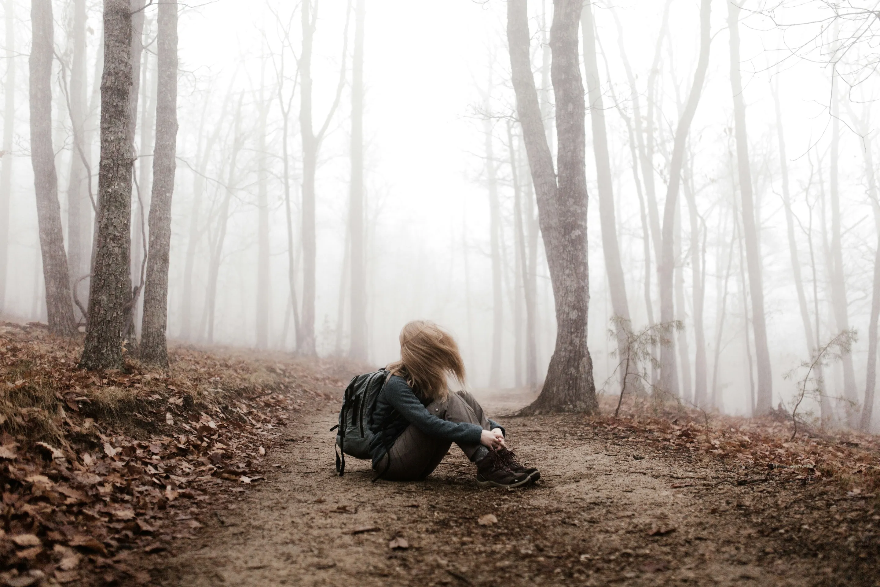 perdu en foret