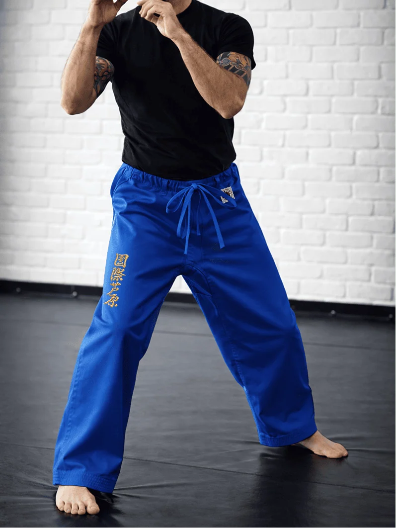 Синяя модель AIKO М2 на спортсмене: ровный силуэт, золотая вышивка Ашихара-карате и жаккардовый логотип