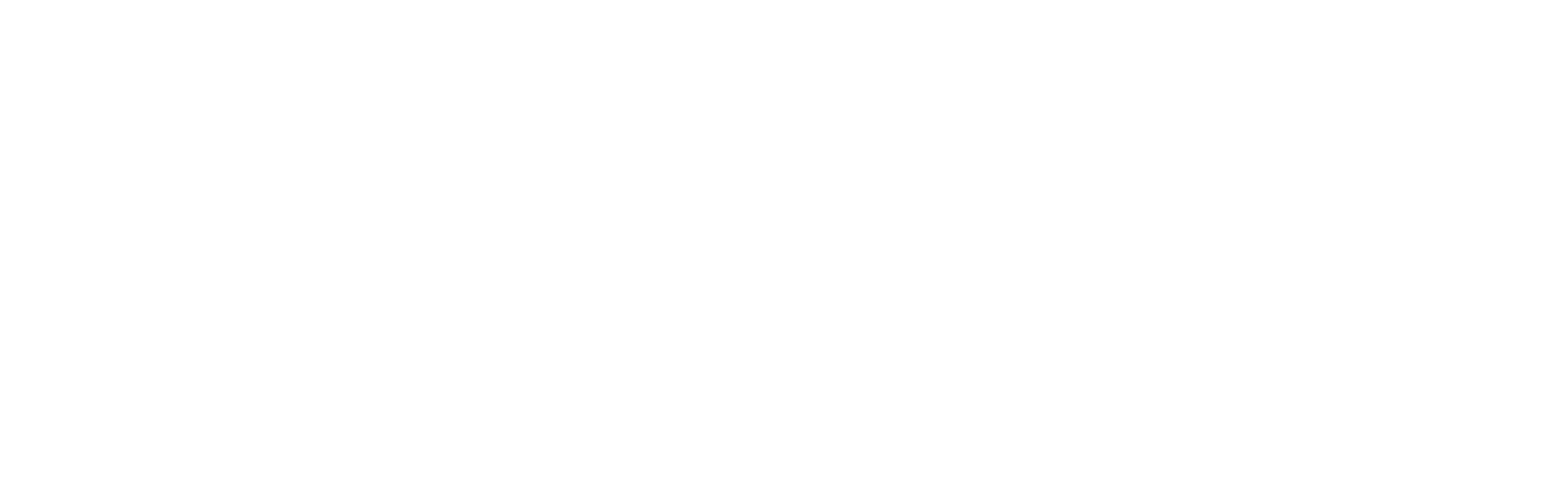 Circle Gold Partner Squarespace