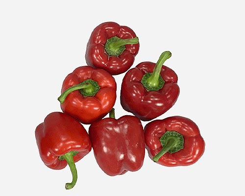 Produce in PerfoTec packaging, trial photo