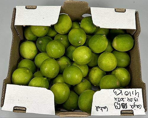 Produce in conventional packaging, trial photo