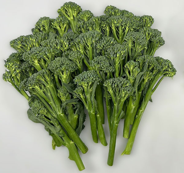 Broccoletti Success Story