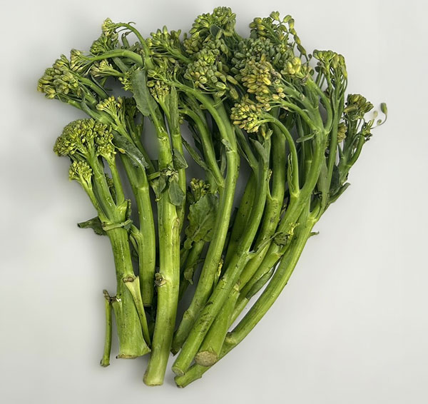 Broccoletti Success Story