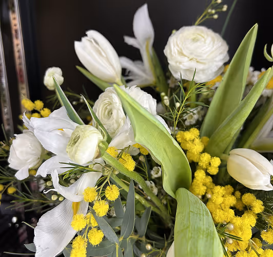Bouquet with white tulips, white ranunculus, and yellow mimosa flowers with green leaves.