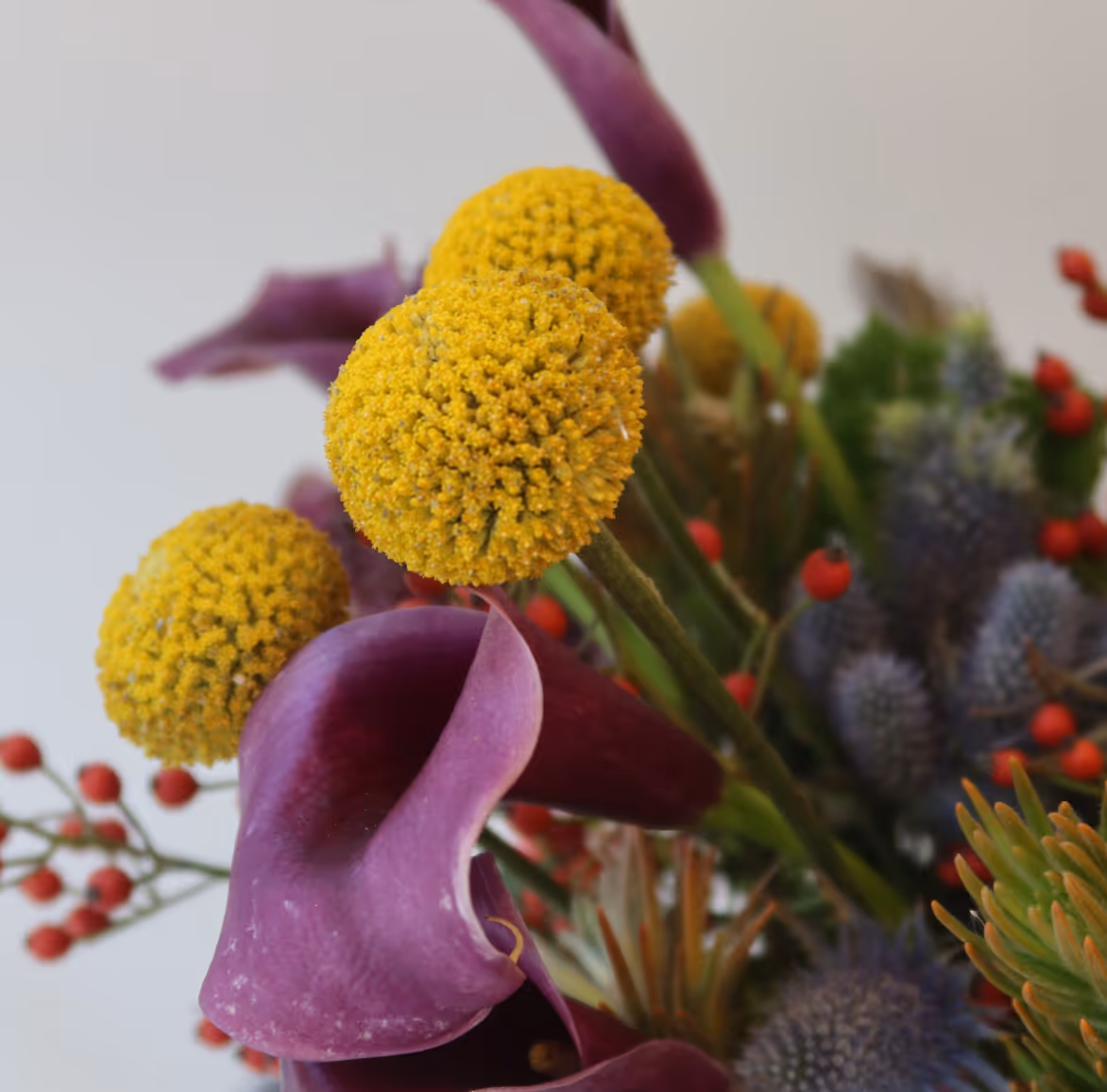 Close-up of yellow billy balls and purple calla lilies in a mixed floral arrangement.