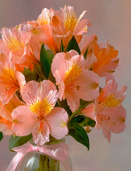 Bouquet of peach and yellow alstroemeria flowers with green leaves in a glass vase tied with a pink ribbon.