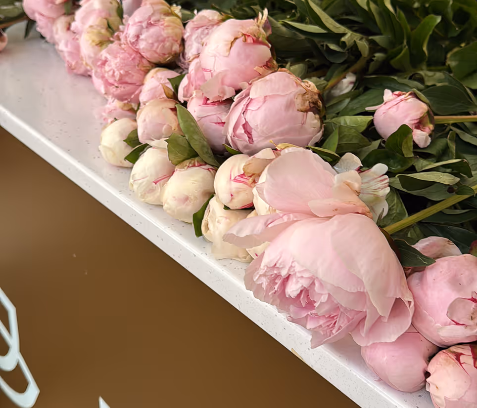 Bunches of pink peonies and buds resting on a white countertop with green leaves.
