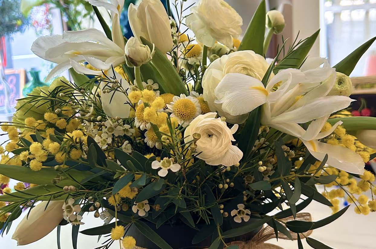 Bouquet of white tulips, ranunculus, daisies, and yellow mimosa flowers with green leaves in bright setting.