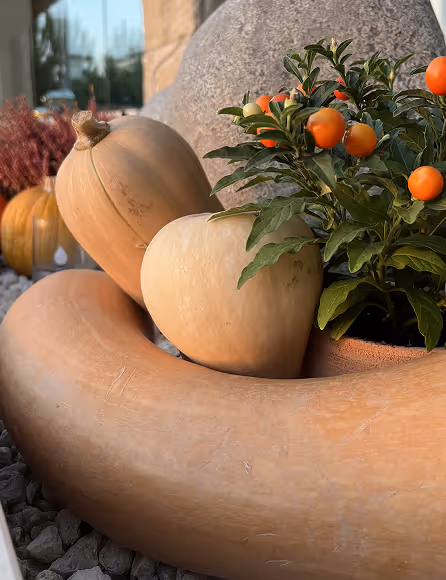 Close-up of various pumpkins and a potted plant with small orange fruits arranged on rocks near a stone background.