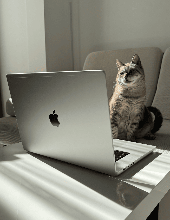 Tabby cat sitting on a sofa looking at a silver Apple laptop on a white table with sunlight casting shadows.