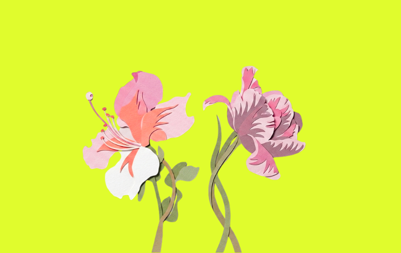 B2B vs B2C в IT: ключові відмінності і найефективніші підходи