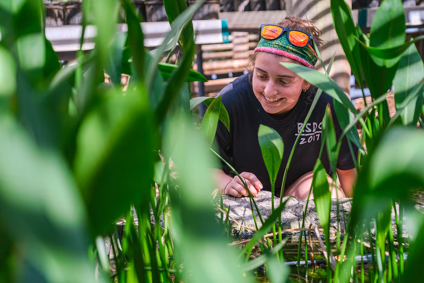 Cary Academy student conducting hands-on environmental research surrounded by tall plants during fieldwork.