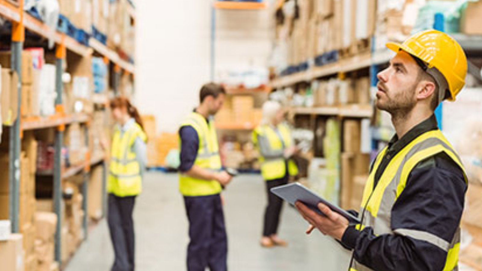 Safety and Maintenance Tips