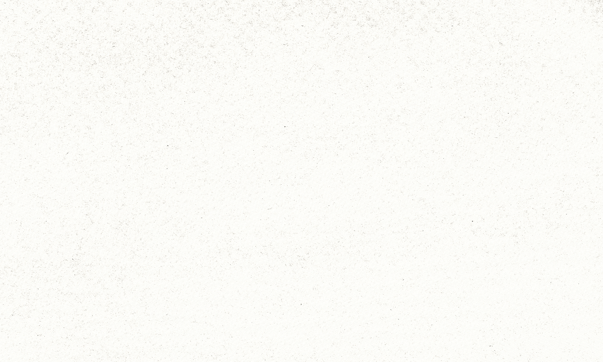 Off-white textured paper background with subtle black speckles and fibers.