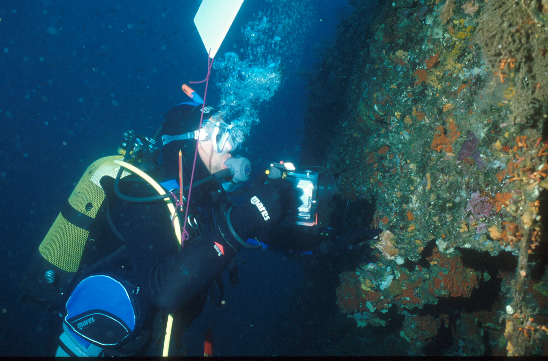 image of mobile game character for an outdoor-adventure company