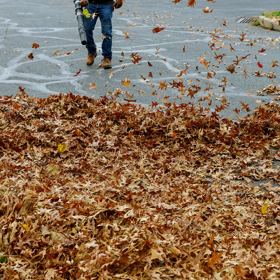 Highland Lawn & Landscaping performing fall clean up service in Brazoria and Fort Bend Counties