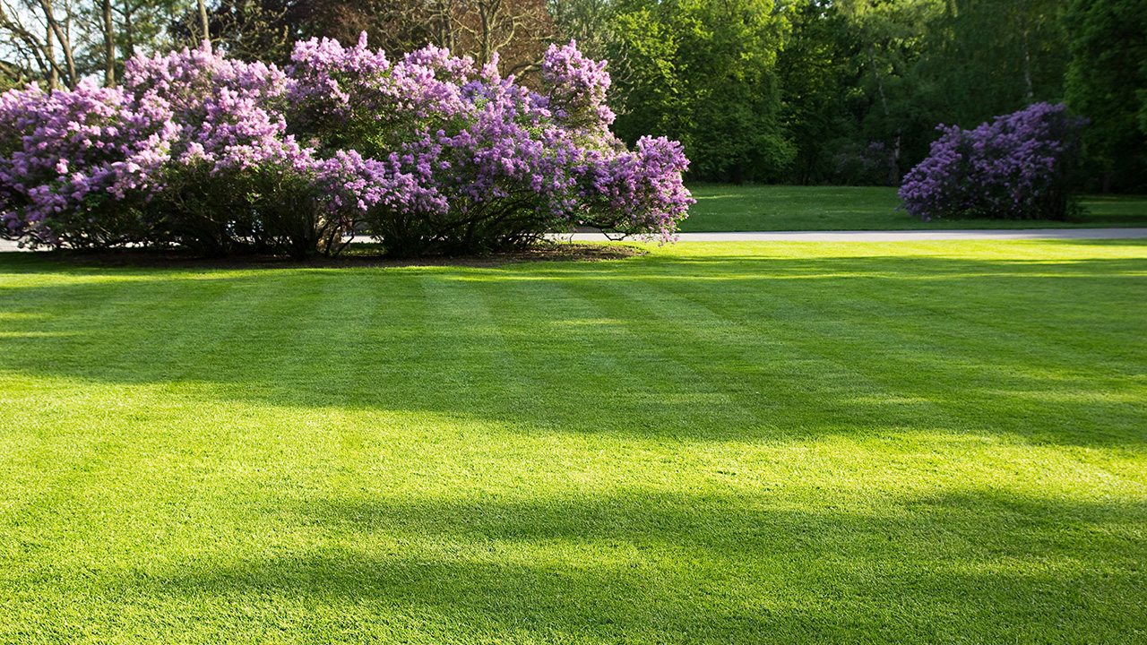 Lawn fertilization service by Highland Lawn & Landscaping near me