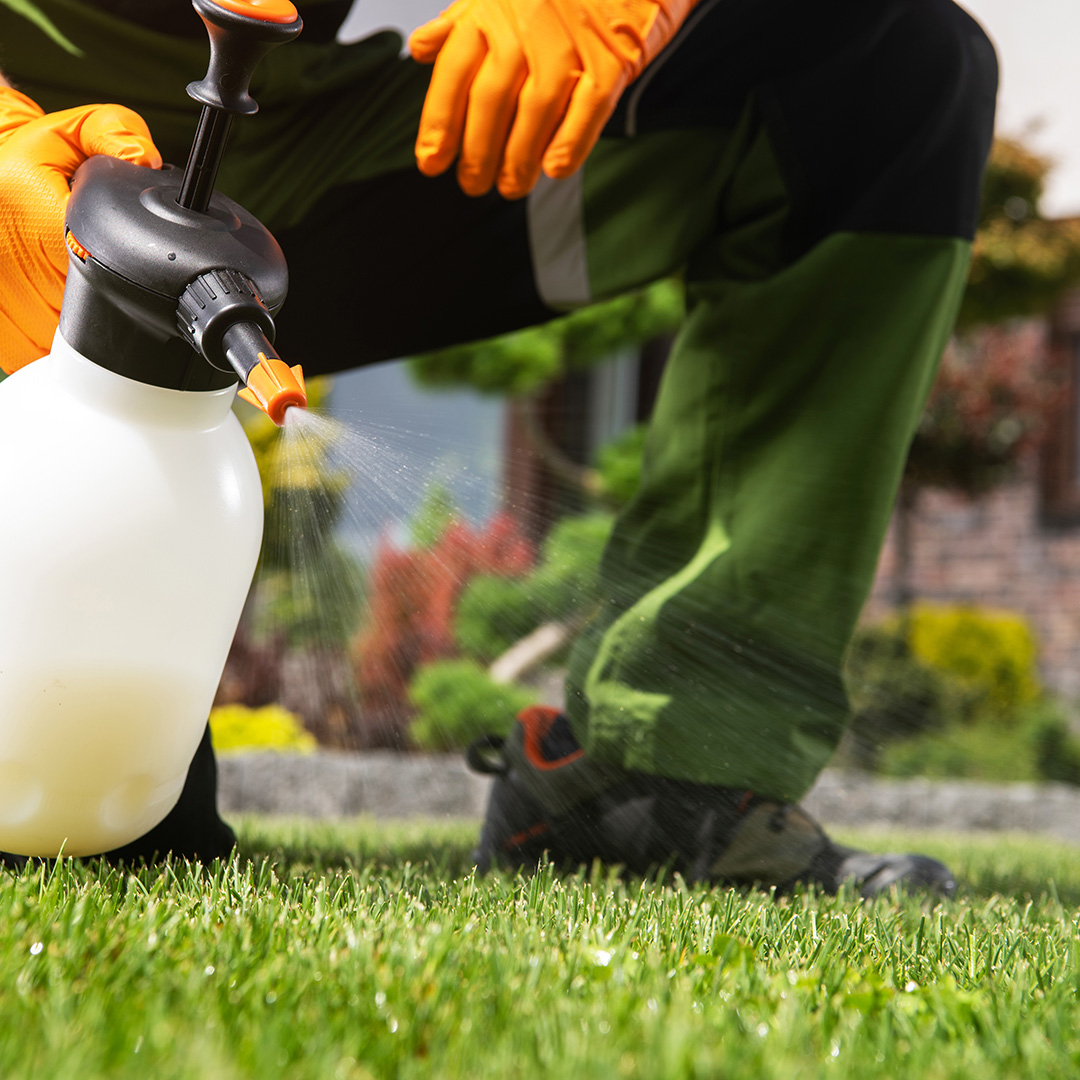 Highland Lawn & Landscaping applying weed control treatment near me