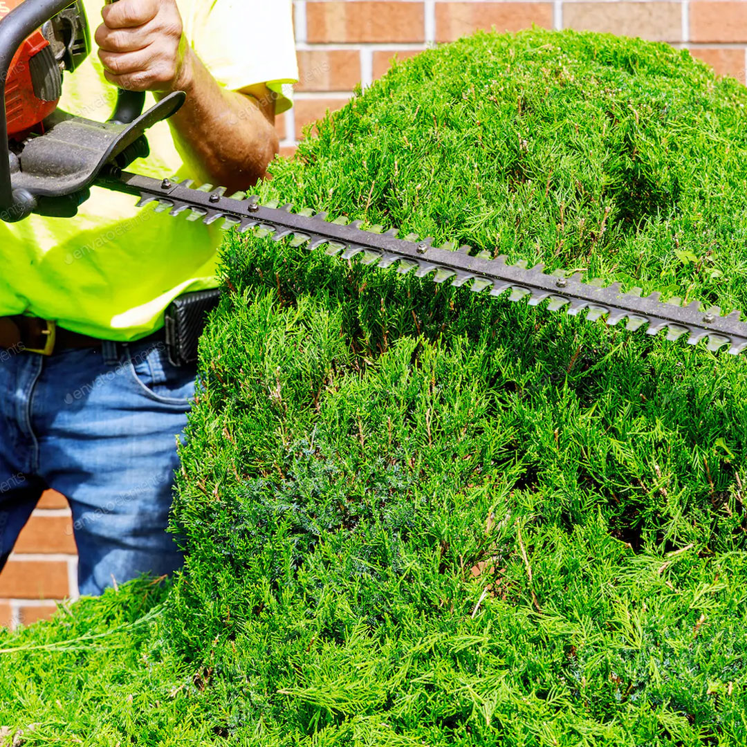 Highland Lawn & Landscaping performing shrub trimming service in Brazoria and Fort Bend Counties