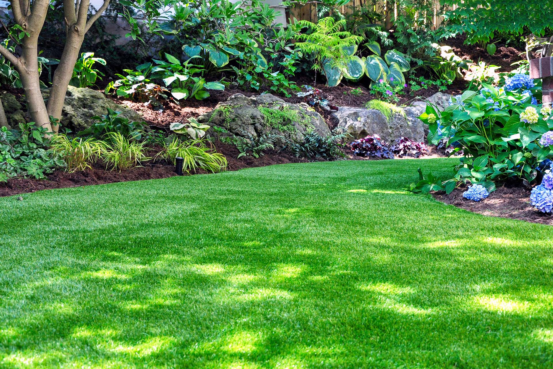 Lush, green turf with clean edging and mowing near me