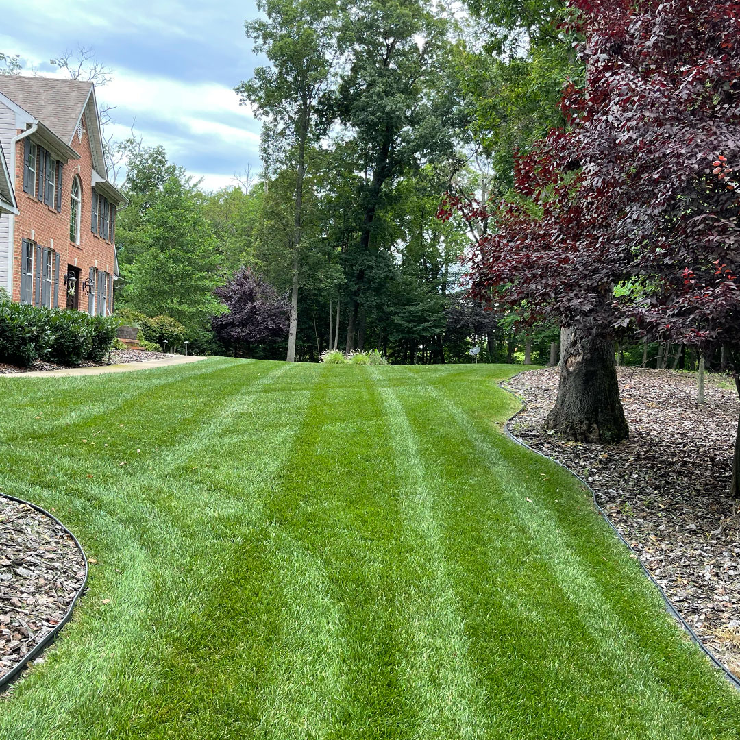Freshly mowed lawn by Highland Lawn & Landscaping near me