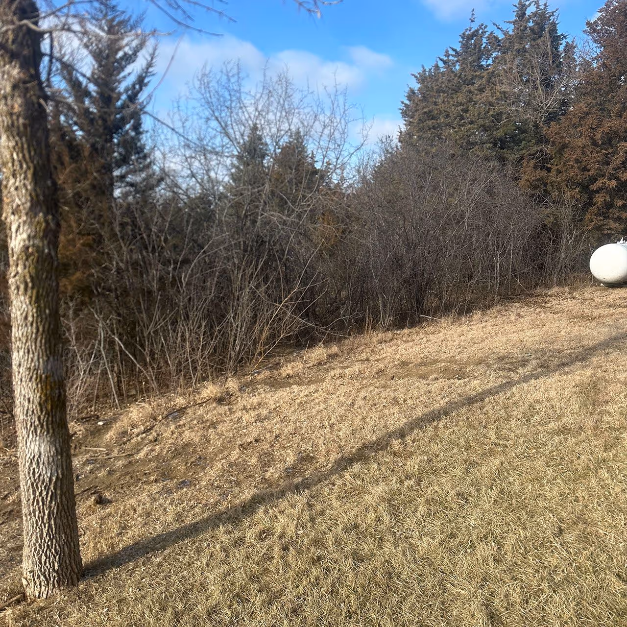 Sod delivery and preparation for residential subdivision